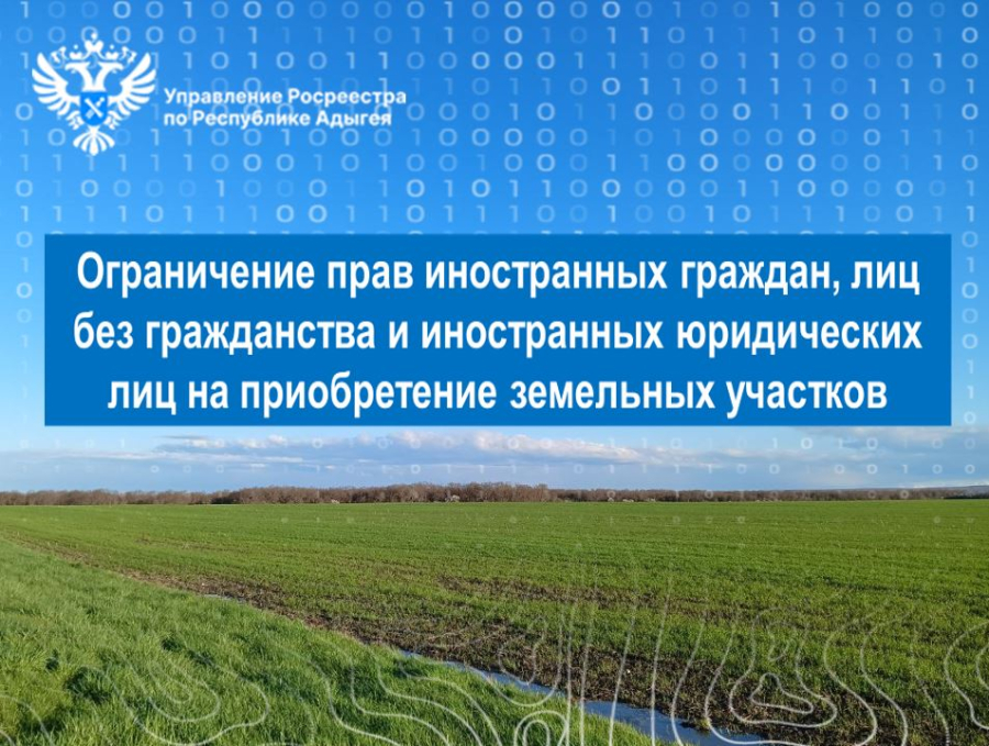 Ограничение прав иностранных граждан, лиц без гражданства и иностранных ...